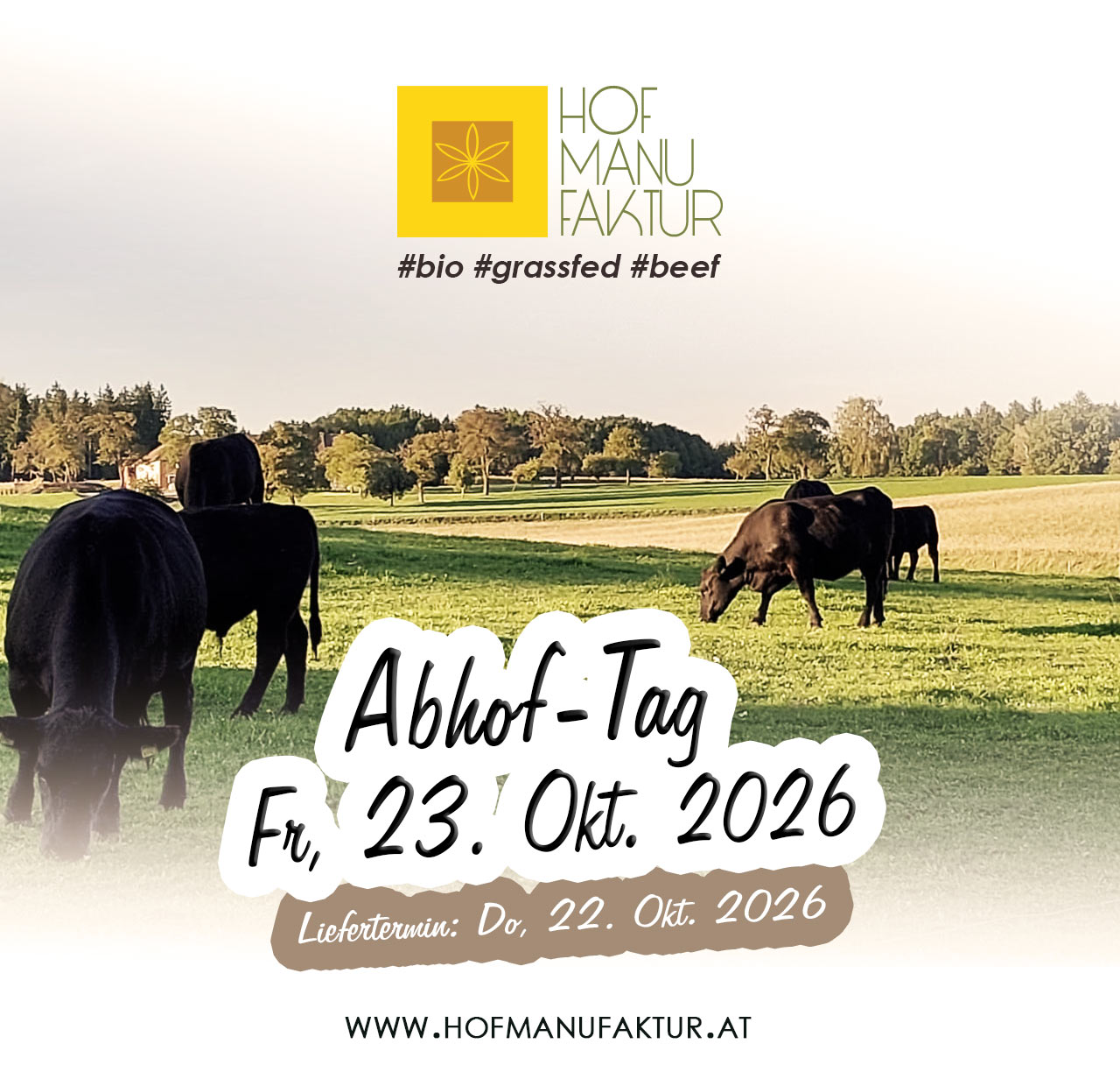 Oktober Abhof-Tag: Bio Aberdeen Angus Rindfleisch am Fr, 23.10. ab Hof