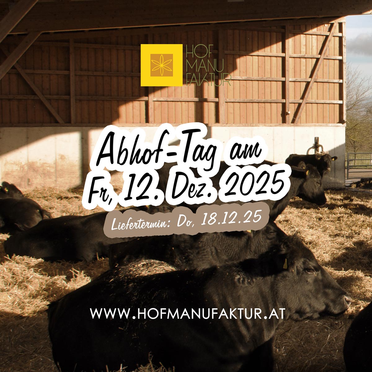 Aberdeen Angus 100% bio grass-fed Beef - Weihnachts-Abhof-Tag mit neuem Produkt
