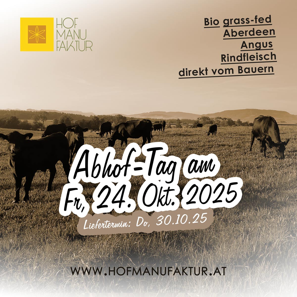 Aberdeen Angus Bio Rindfleisch - Abhof-Tag am 24. Oktober 2025