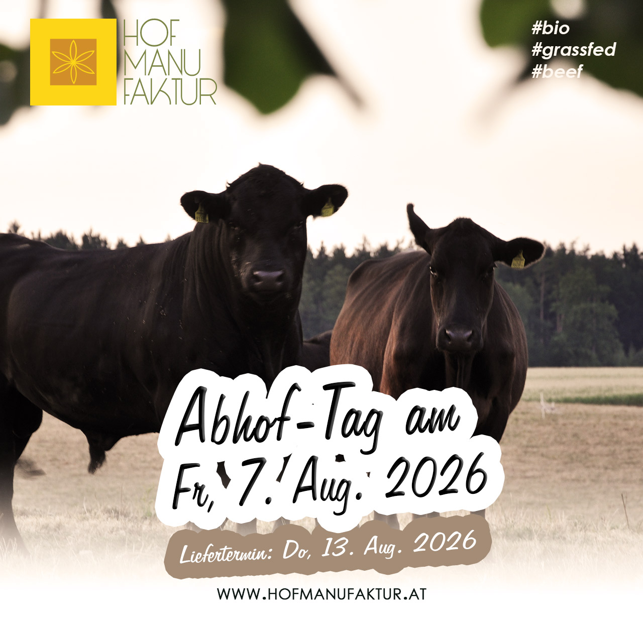 Sommer-Abhof-Tag am Fr, 7. August mit