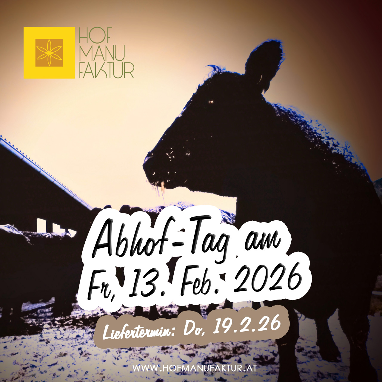 Aberdeen Angus Rindfleisch direkt vom Bauern - Abhof-Tag am 13. Februar 2026