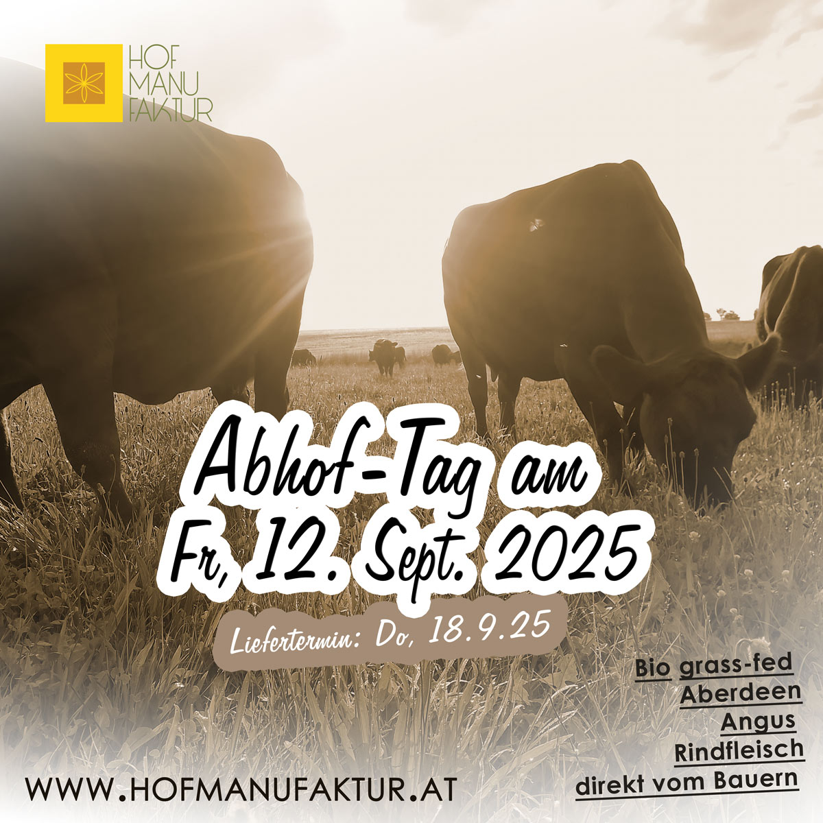 Abhof Tag am 12. September 2025 - Bio grass-fed Beef vom Aberdeen Angus