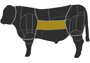 Vogelfutter aus Sonneblumenkernen