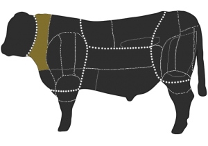 Aberdeen Angus Zuchtrinder und Angus-Galloway Kreuzungszucht