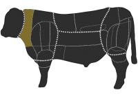 Aberdeen Angus Zuchtrinder und Angus-Galloway Kreuzungszucht